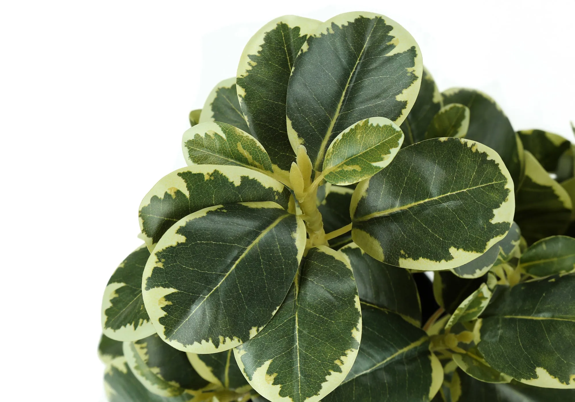 Artificial Plant, 14" Tall, Ficus, Indoor, Faux, Fake, Table, Greenery, Potted, Set Of 2, Decorative, Green Leaves, Black Pots