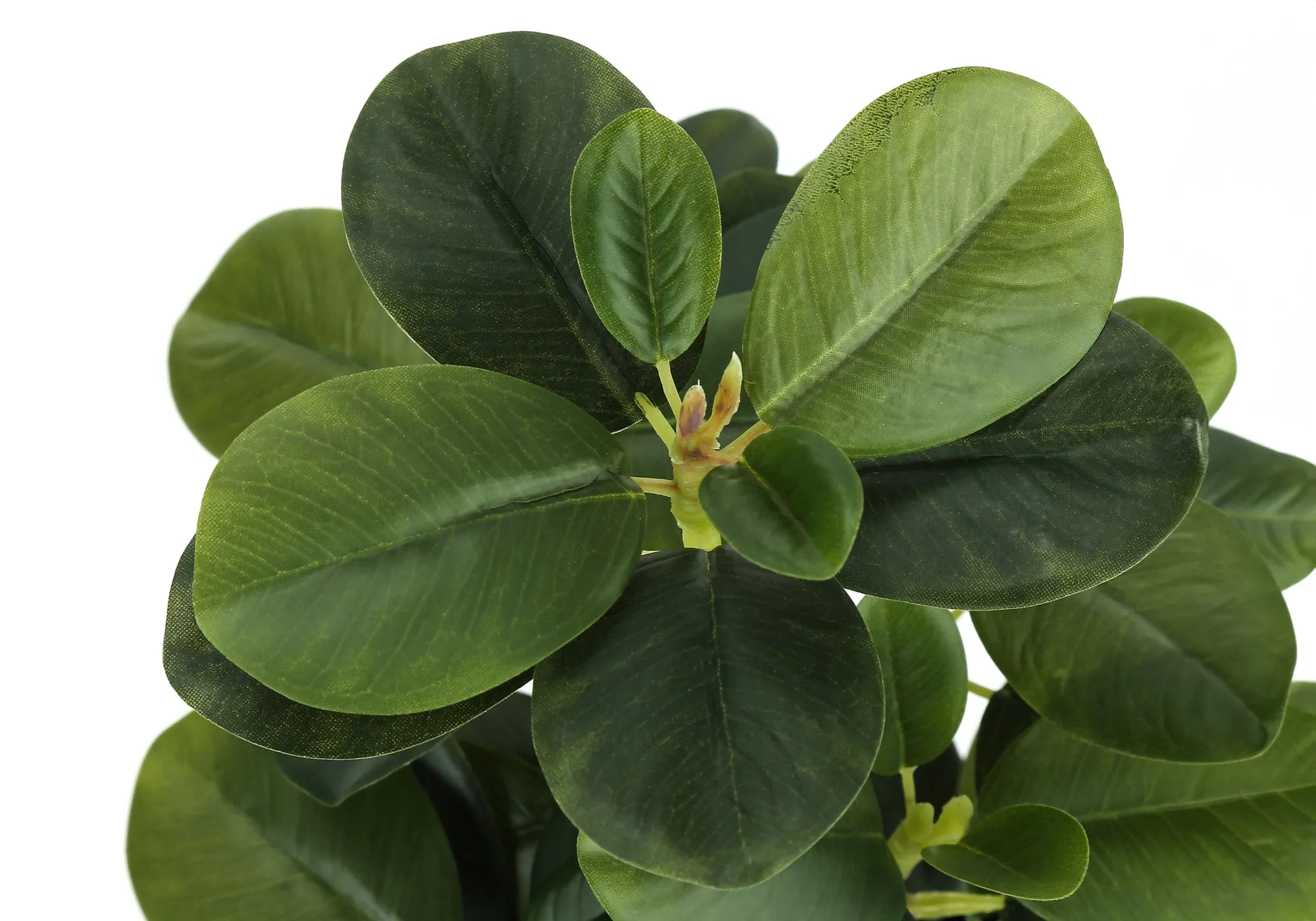 Artificial Plant, 14" Tall, Ficus, Indoor, Faux, Fake, Table, Greenery, Potted, Set Of 2, Decorative, Green Leaves, Black Pots