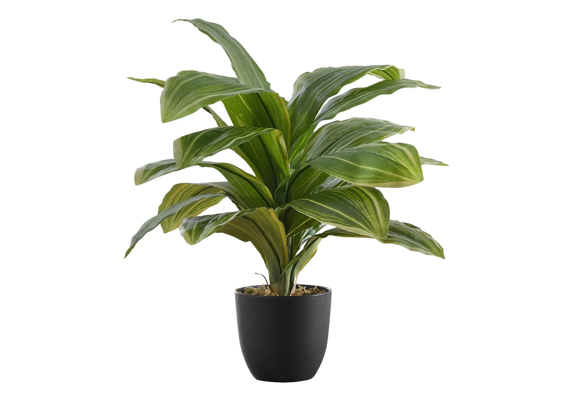 Artificial Plant, 17" Tall, Dracaena, Indoor, Faux, Fake, Table, Greenery, Potted, Real Touch, Decorative, Green Leaves, Black Pot