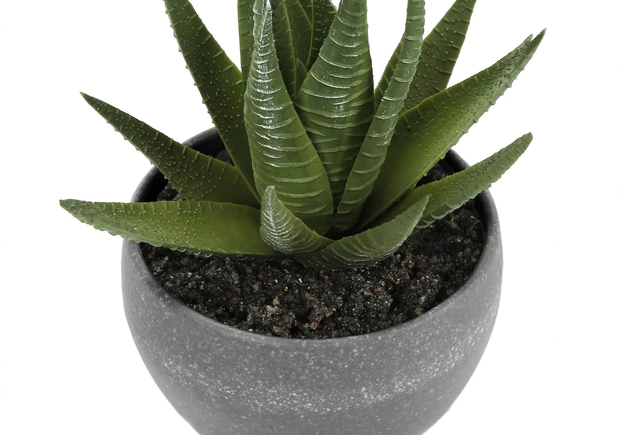 Artificial Plant, 6" Tall, Succulent, Indoor, Faux, Fake, Table, Greenery, Potted, Set Of 3, Decorative, Green Plants, Grey Cement Pots