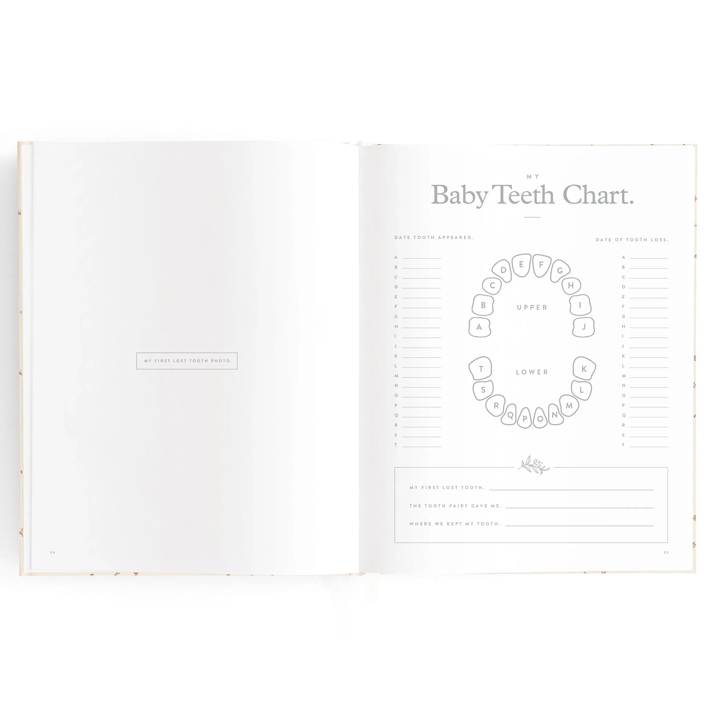 Baby Book Broderie