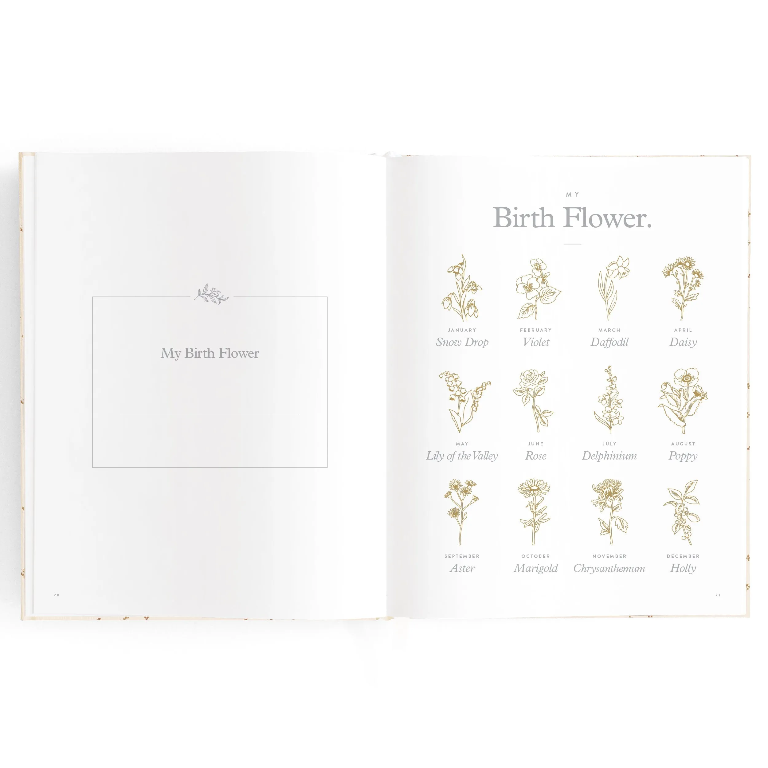 Baby Book Broderie