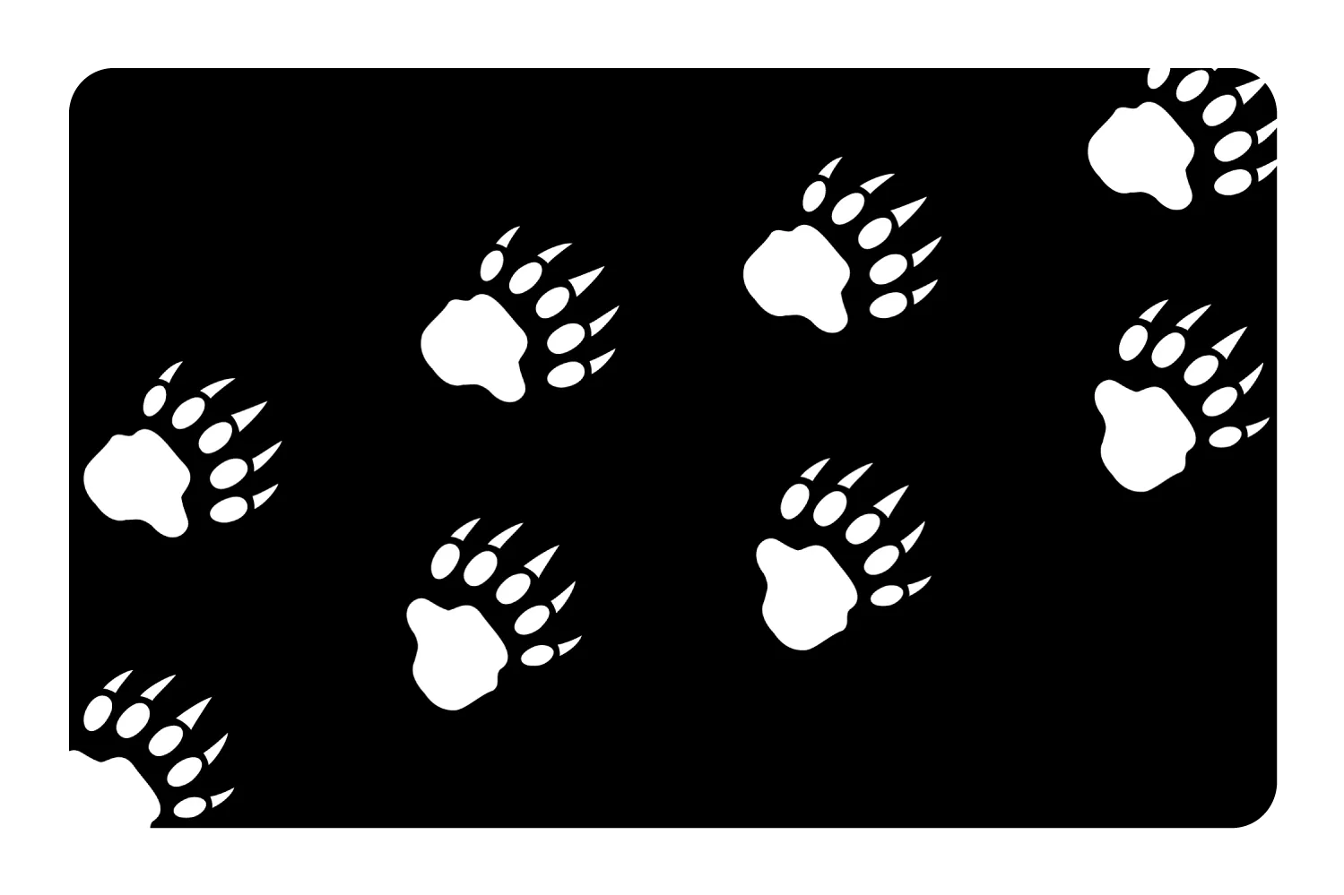 Bear Paws