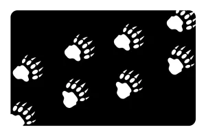Bear Paws