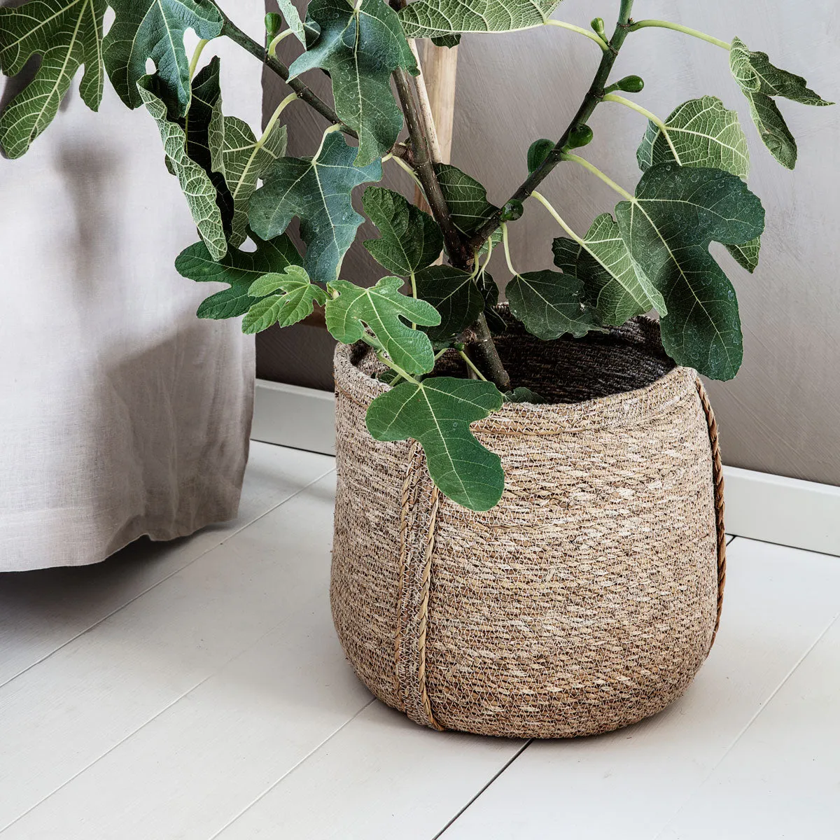 Bertie Basket Planter