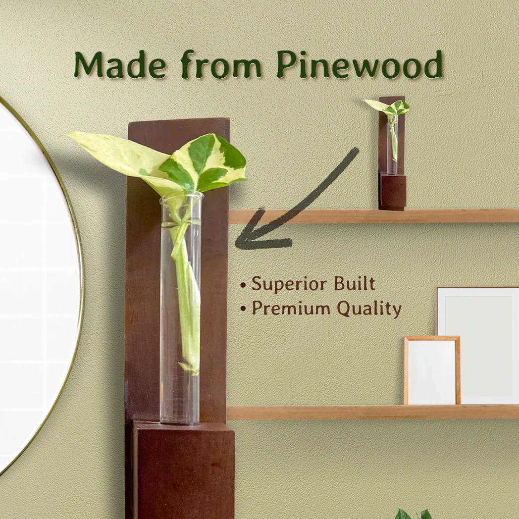 Bombay Greens Test Tube Wall Planter with Wooden Holder (set of 2)