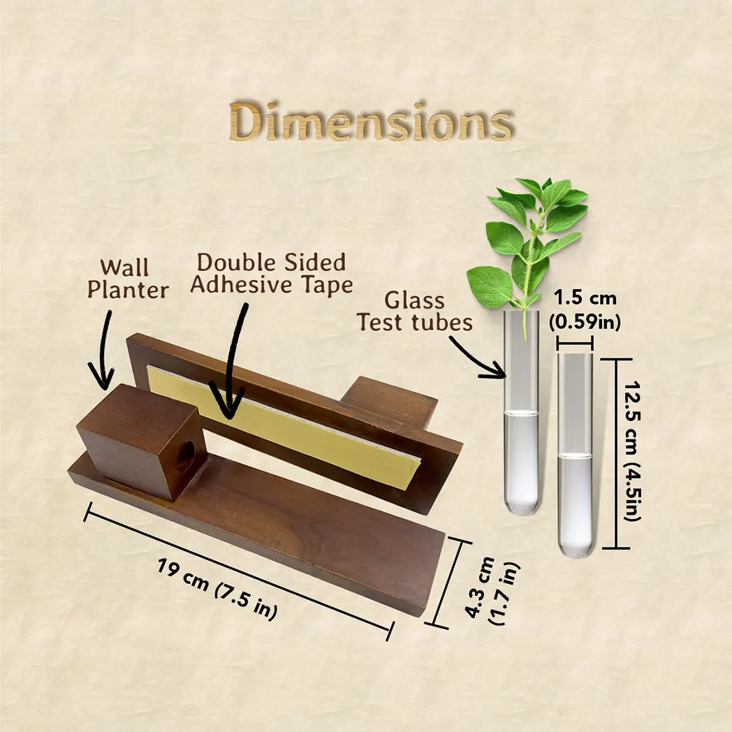 Bombay Greens Test Tube Wall Planter with Wooden Holder (set of 2)