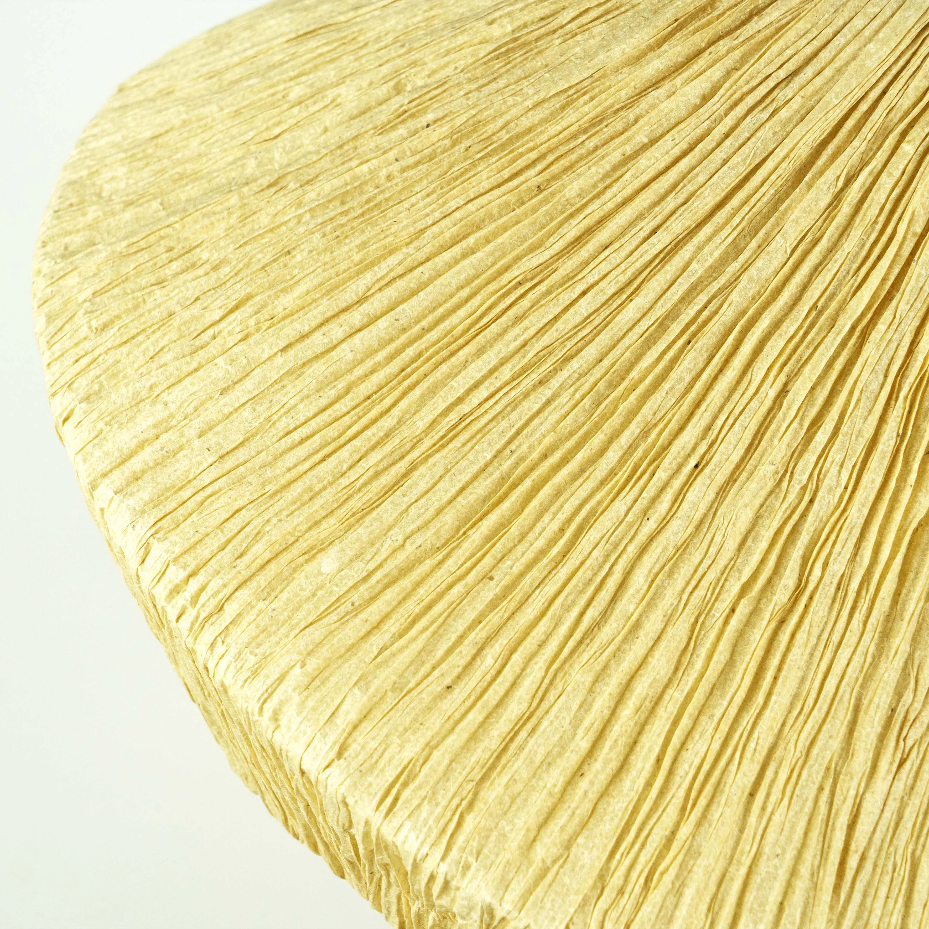 Dandelion Pendant Lamp