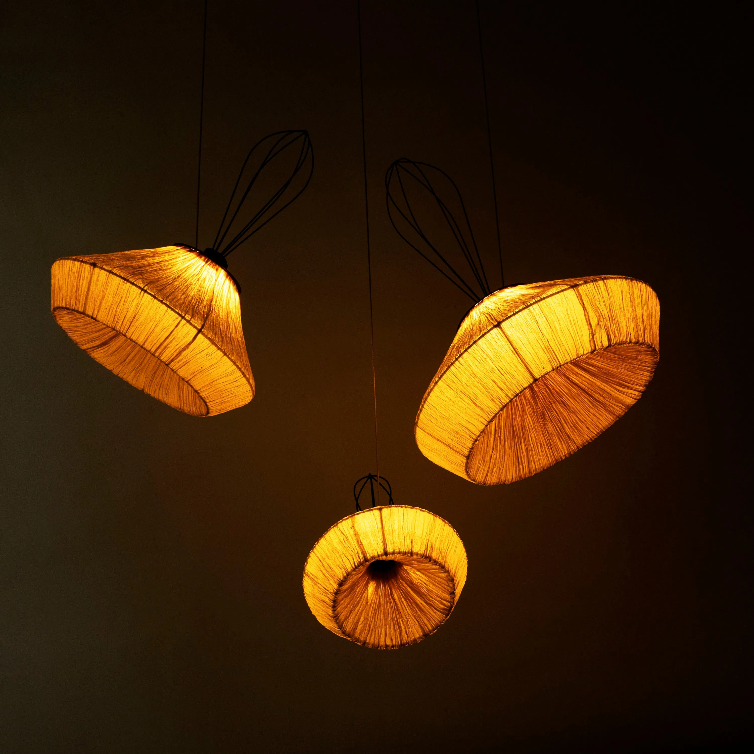 Dandelion Pendant Lamp