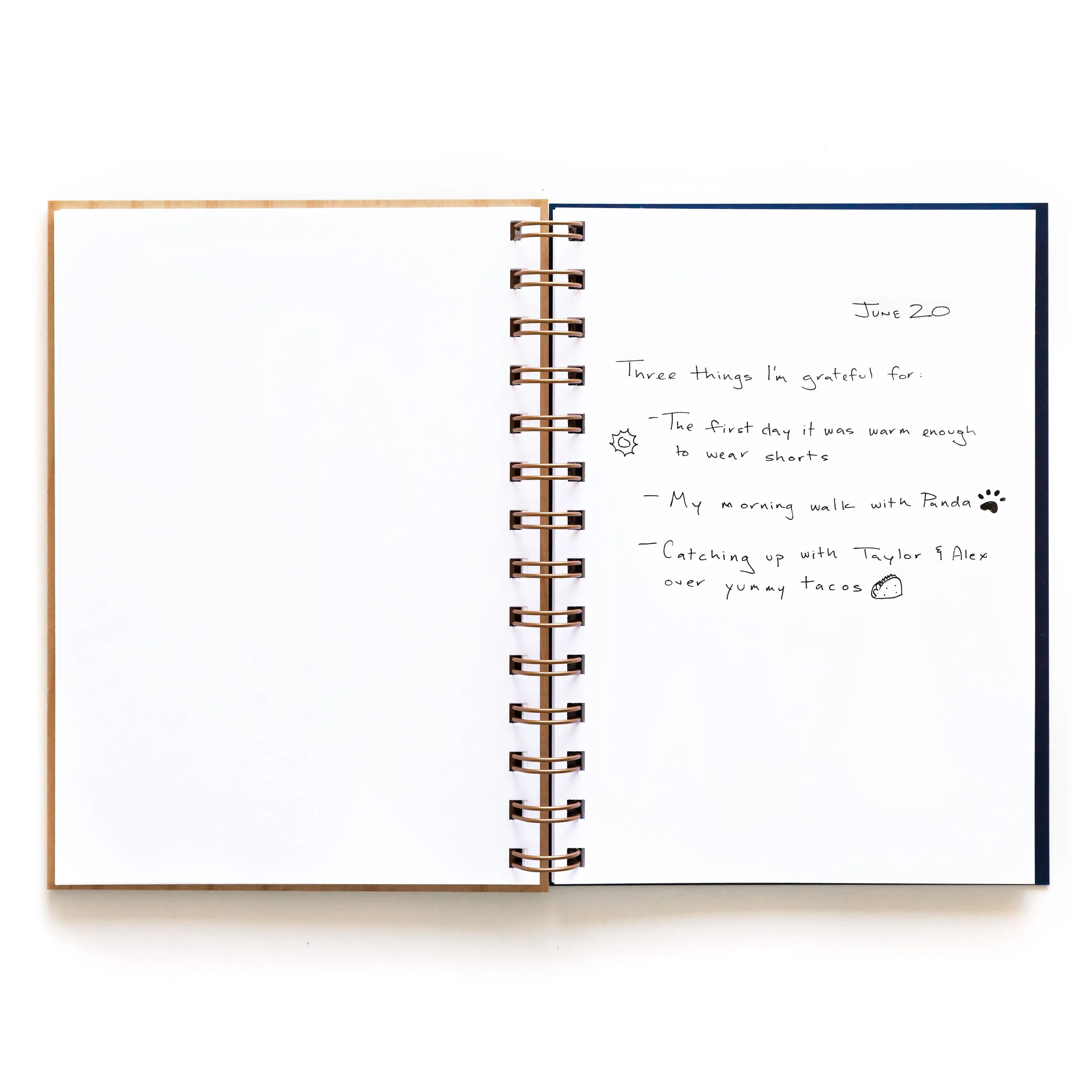 Ginkgo Leaves Journal