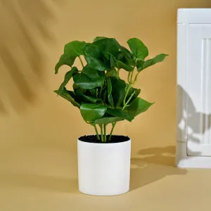 Homestic Artificial Plant | Plants for Office Décor | Decoration Artificial Flowers Pot | Natural Looking Plants | Artificial Flowers for Decoration | 18 Leaves Artificial Plant | Multicolor