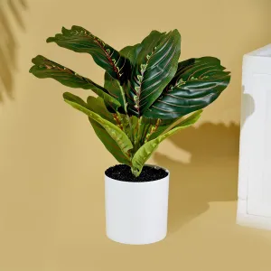 Homestic Artificial Plant|Plants for Office Décor|Natural Looking Plants|Artificial Flowers for Decoration|Decoration Artificial Flowers Pot|Plants for Home Décor|Green Plant|Multicolor
