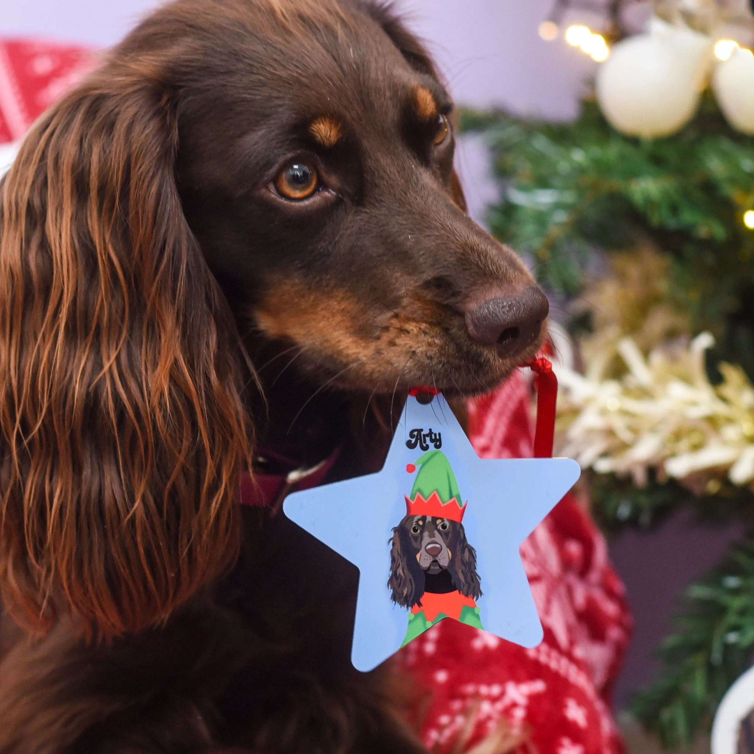Personalised Elf Dog Christmas Decoration
