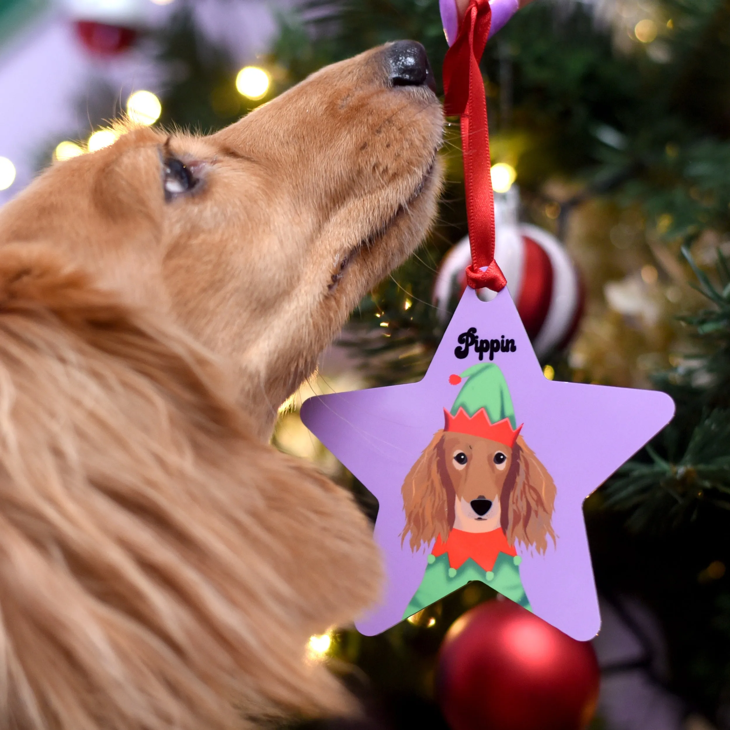 Personalised Elf Dog Christmas Decoration