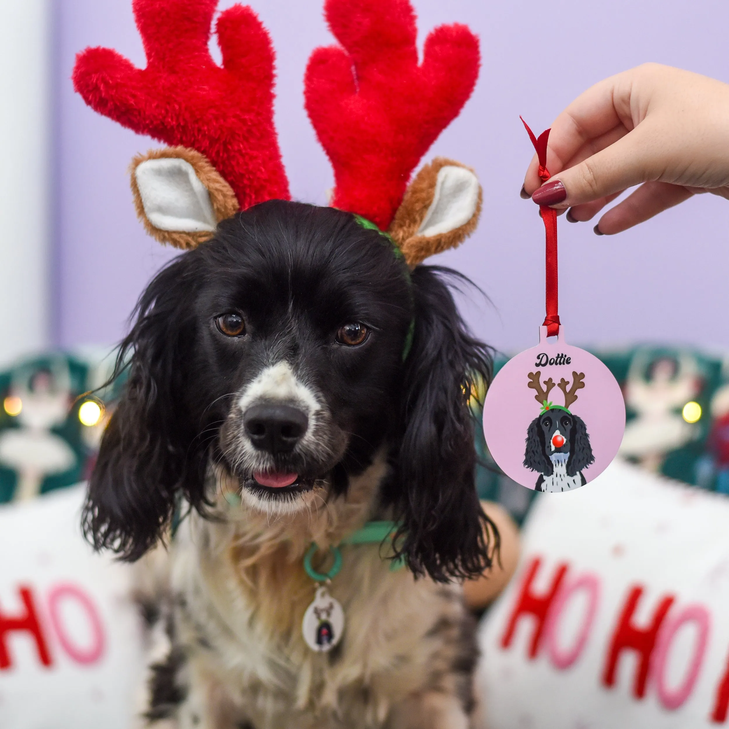 Personalised Reindeer Dog Christmas Decoration