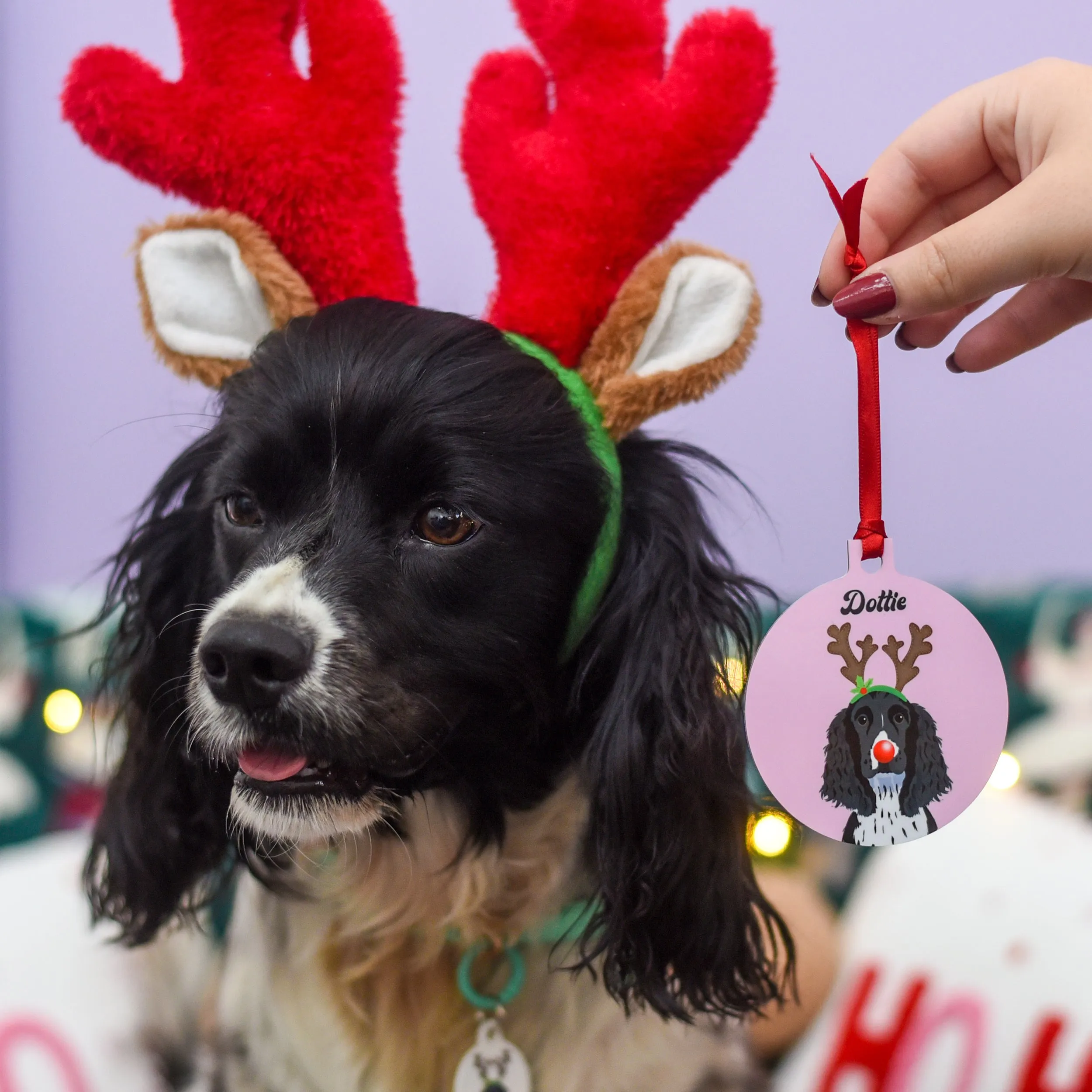 Personalised Reindeer Dog Christmas Decoration