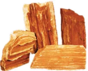 PETRIFIED WOOD 15-25cm per kg