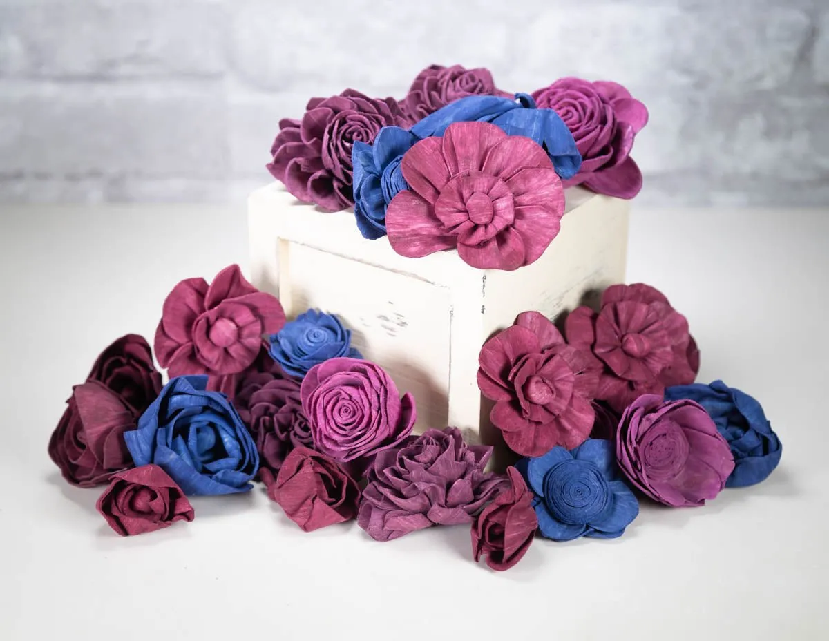 Plum Paradise Assortment