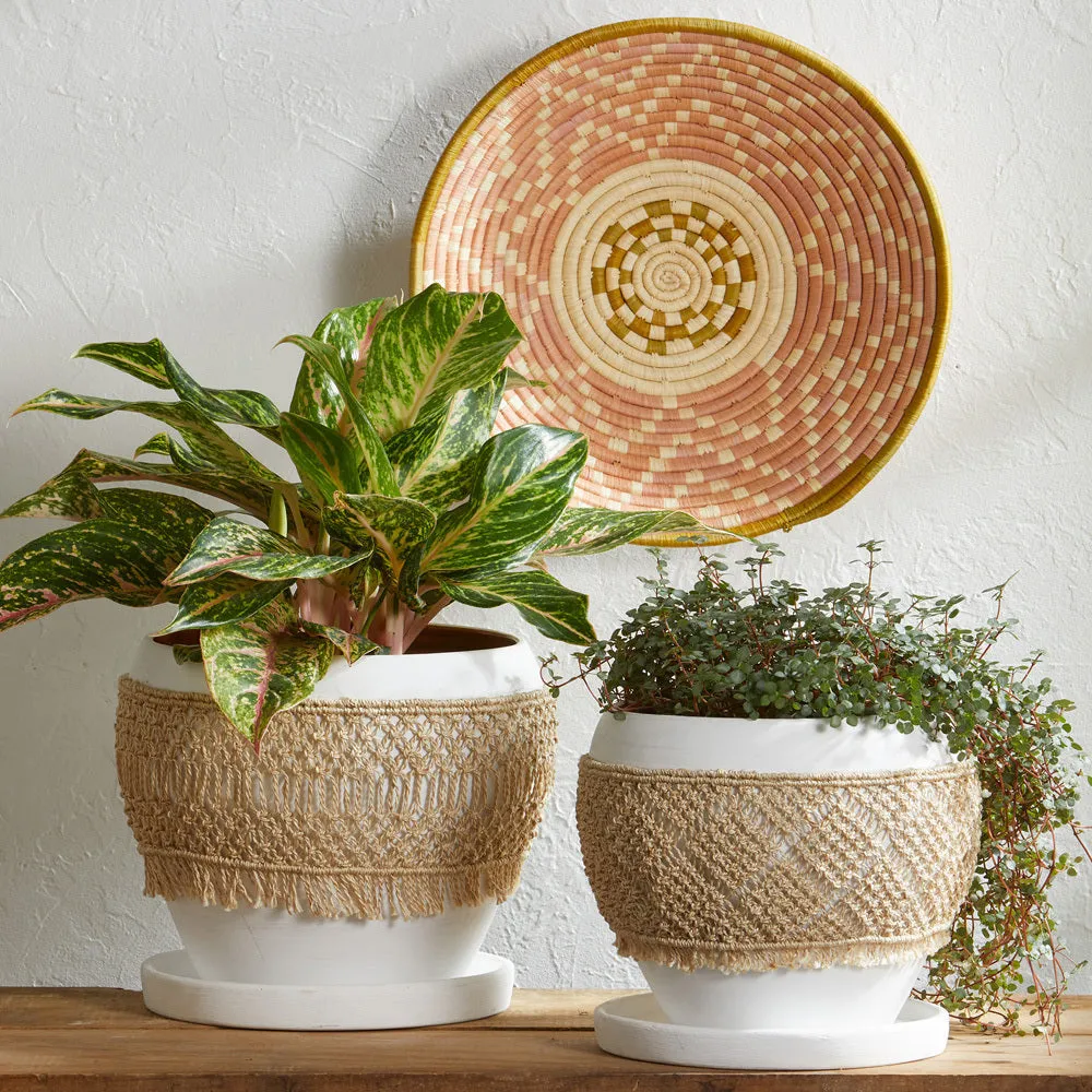 Radiant Blush Basket